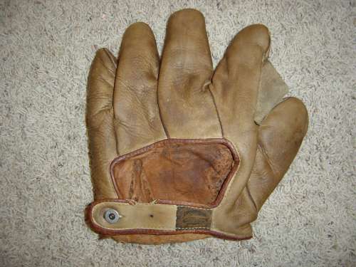 JC Higgins Full Web Back